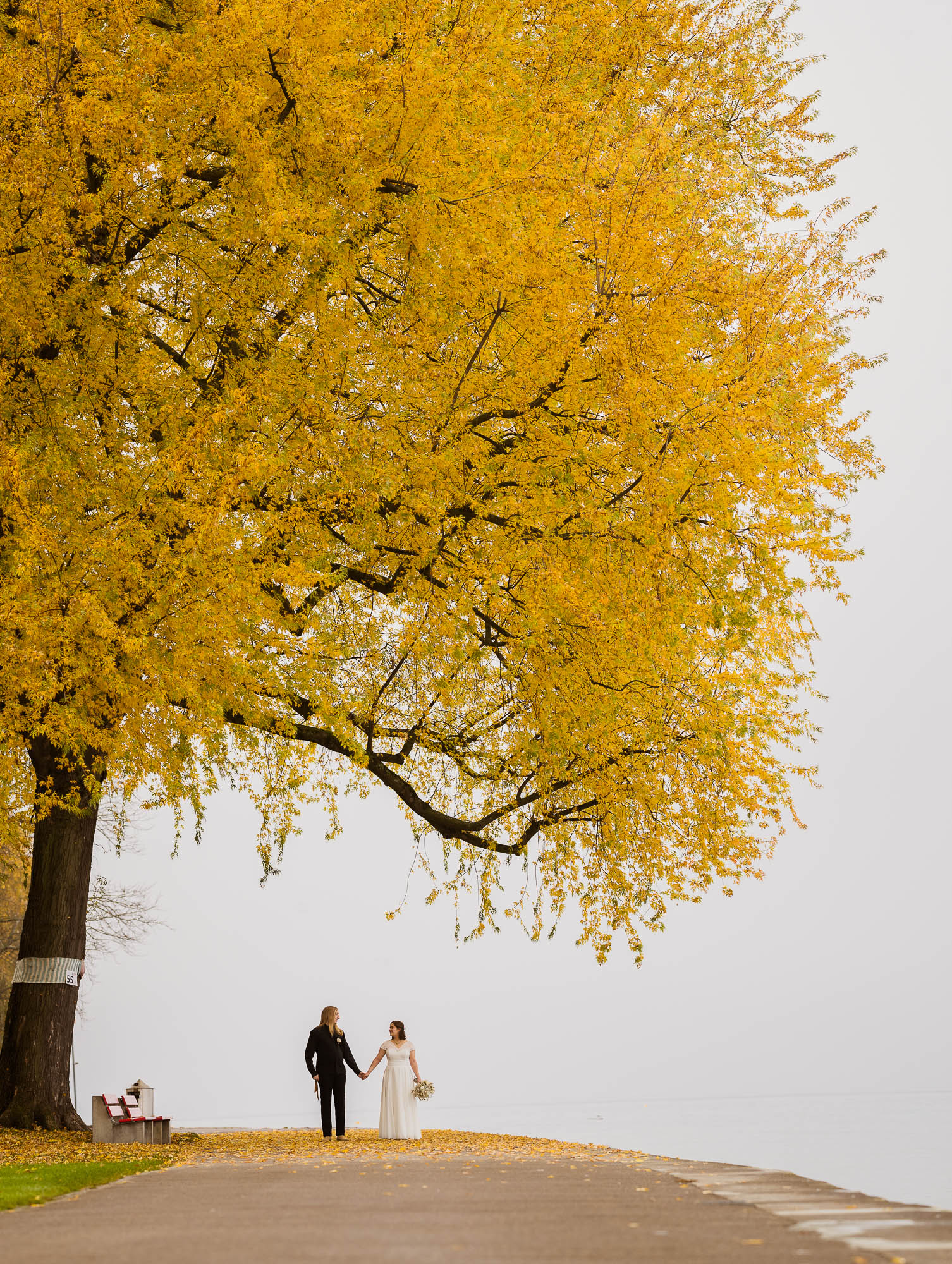 Export x3 1DX29348 Pano Hochzeit 2020 Monika & Sharru